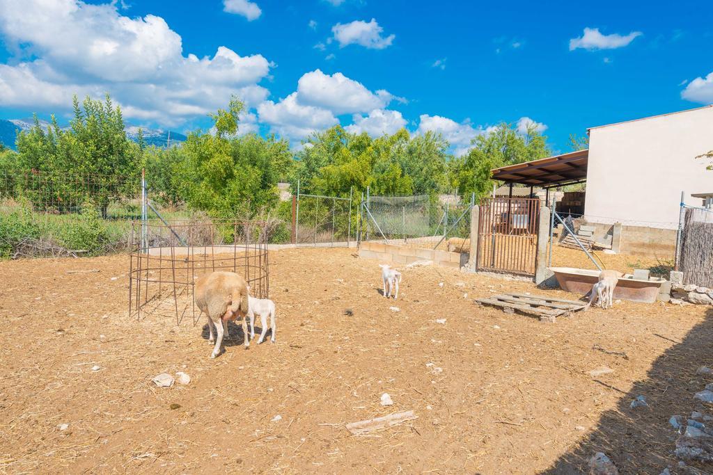 Granja Villa Inca  Ngoại thất bức ảnh