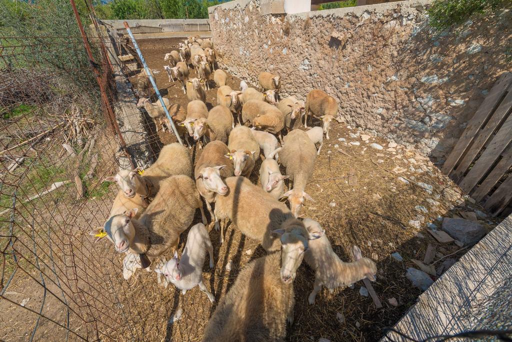 Granja Villa Inca  Ngoại thất bức ảnh